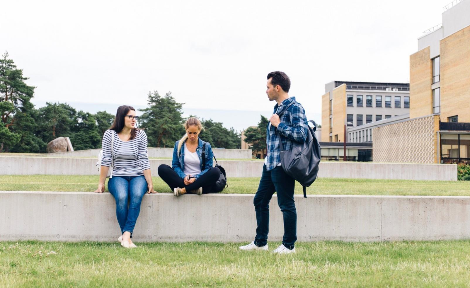Sistema de automatización financiera en funcionamiento